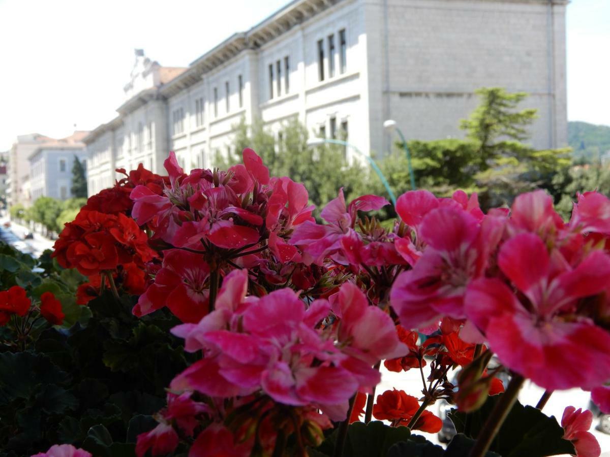 Luciano And Son Bed & Breakfast Campobasso Luaran gambar
